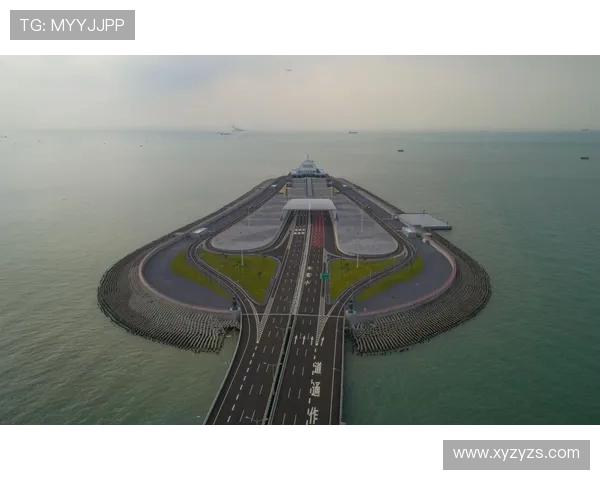 上海排球队在联合会杯中的辉煌历程与突破成就全景回顾