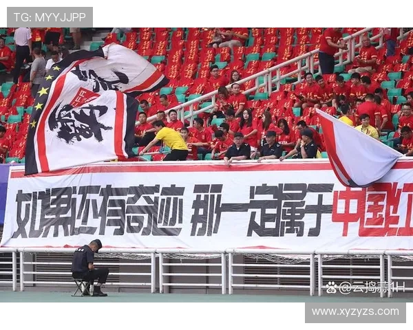 南京足球队的拼搏之路与荣耀时刻的深度剖析与回顾