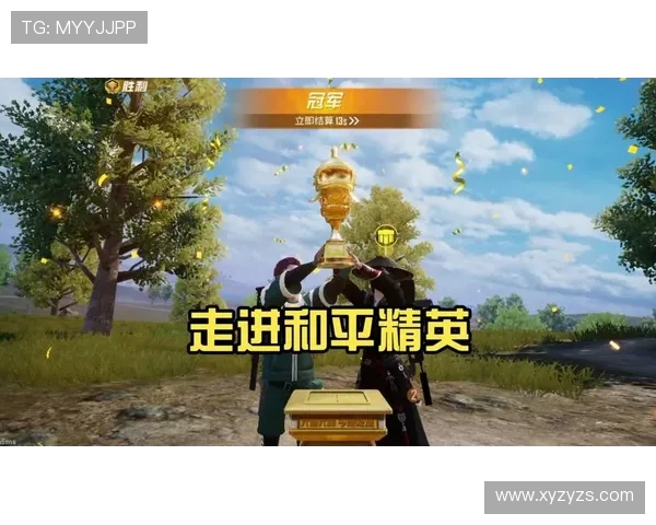 杨丽专访揭秘和平精英成功背后的策略与创新之路