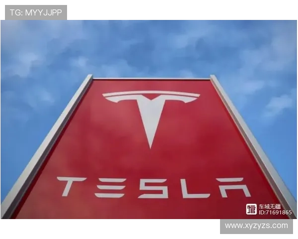 杭州网球队战术引发热议球迷与专家各执己见探讨争议背后真相