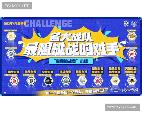 王者荣耀深度解析：揭示WE战队选手个人能力的秘密与成就