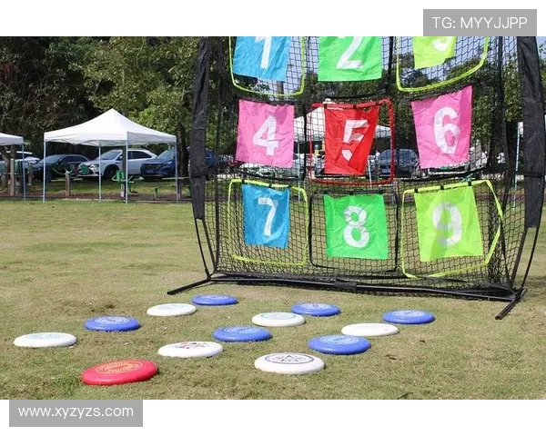 飞盘运动的魅力揭秘：西安飞盘队灵活性与团队精神的完美结合