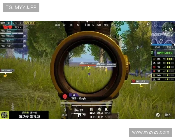 和平精英深度解析FPX战队的控制策略与战术布局