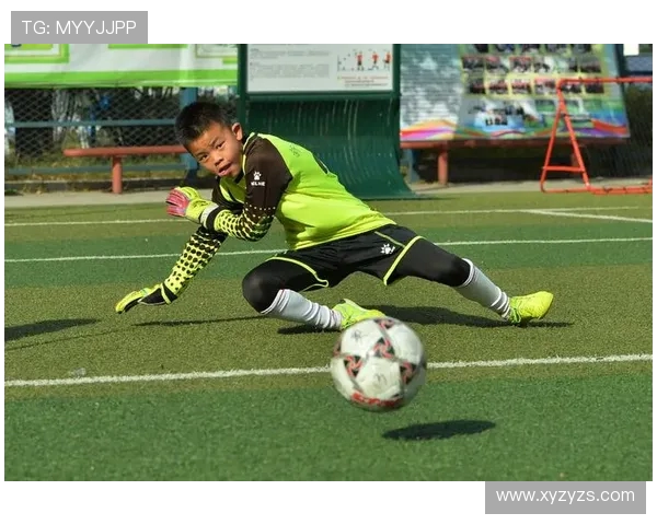 武汉飞盘队的阵地战策略与战术分析探讨