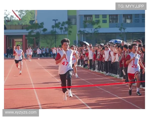 李丽独家分享飞盘技巧与心得体会助你轻松掌握这项运动的乐趣与魅力